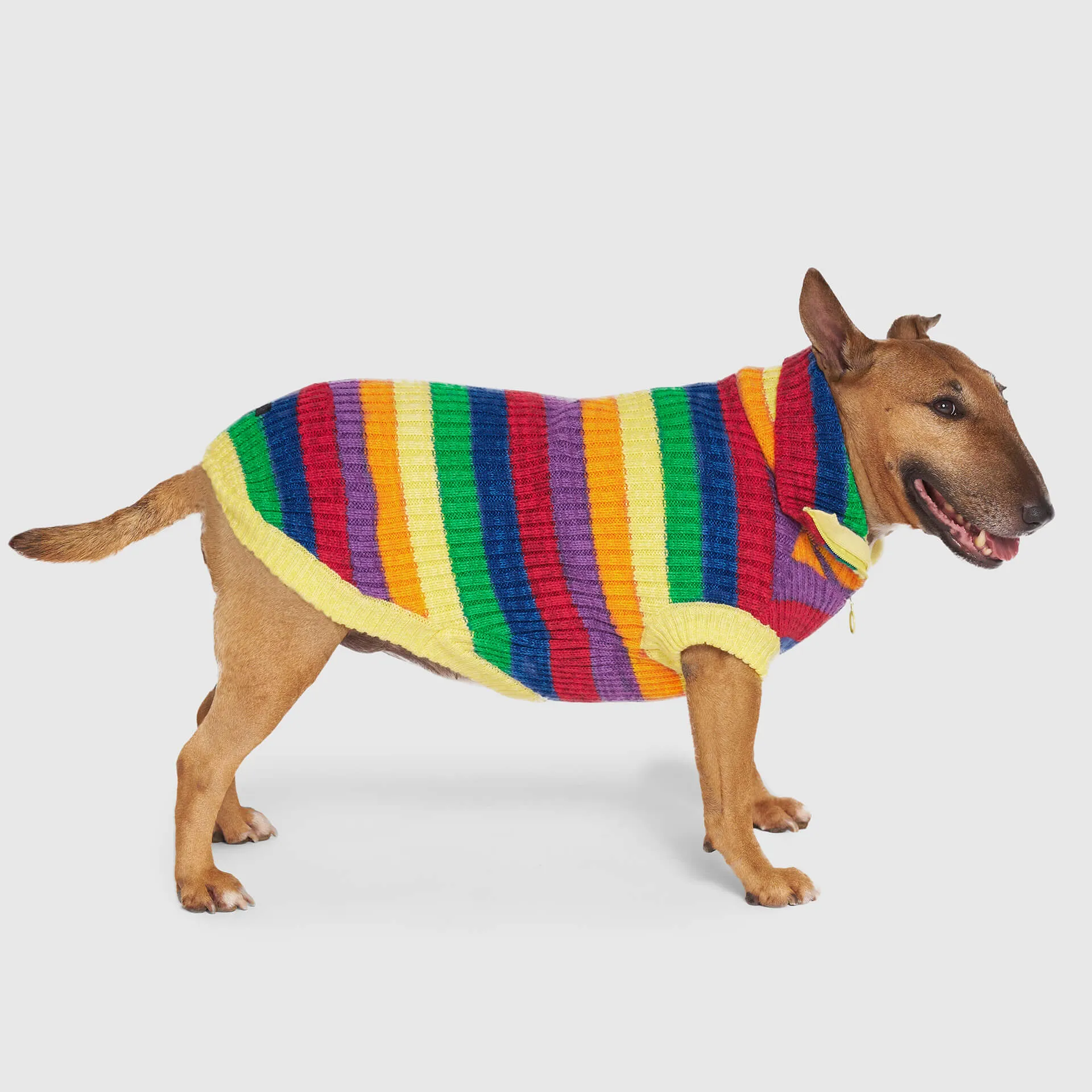 Over The Rainbow Sweater