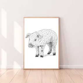 Wall Art Pig